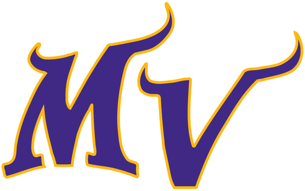 Minnesota Vikings 2004-Pres Alternate Logo fabric transfer
